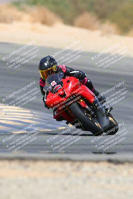 media/Apr-10-2022-SoCal Trackdays (Sun) [[f104b12566]]/Turn 10 (1pm)/